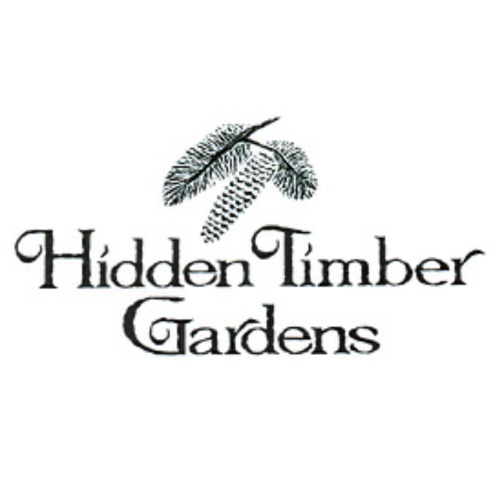 Hidden Timber