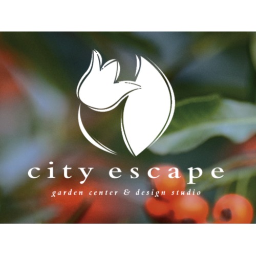 city escape logo
