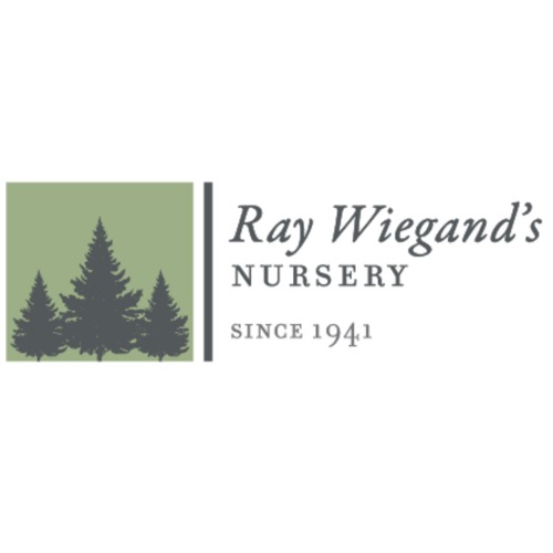 Ray Wiegand